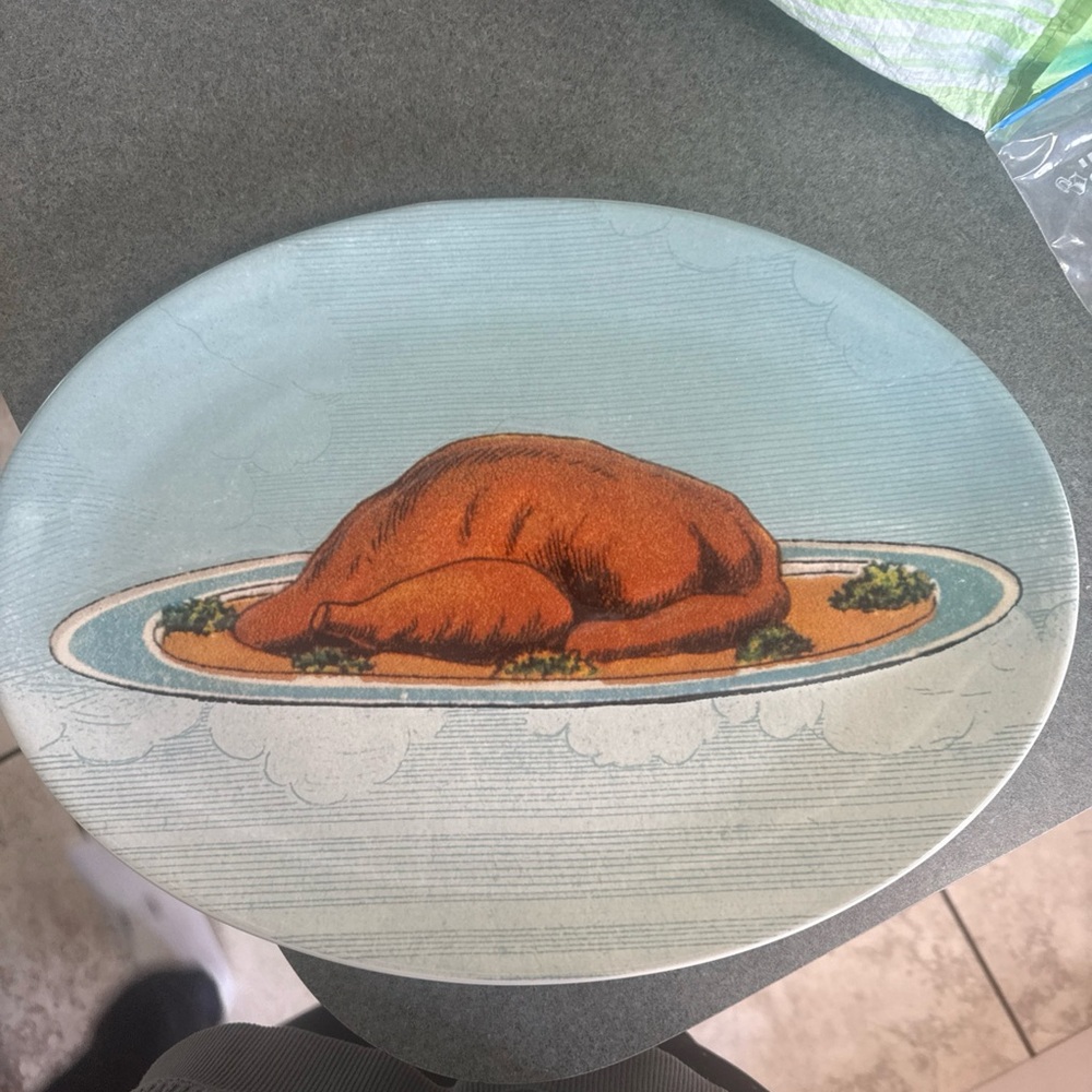 Turkey Platter John Derian 10x15 Oval Stoneware Fall Serving Tray Thanksgiving